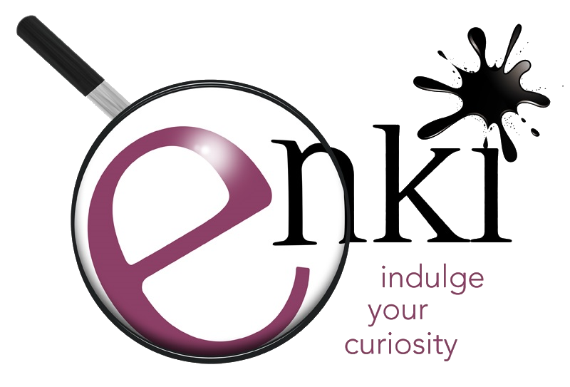 Enki-Logo_RGB_Web_Small_Contained-TRANS